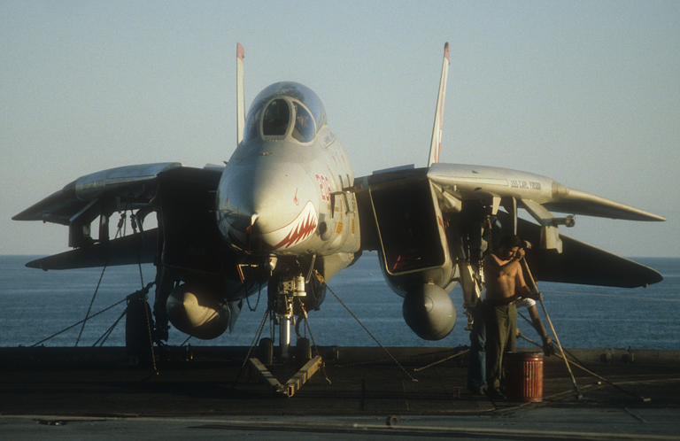 Grumman F-14A Tomcat #206 of VF-111 CVN-70 in low visibility camouflage, but with full colour unit livery1984