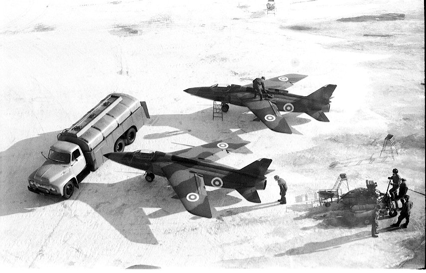 Two Finnish Gnats on the ground