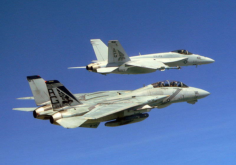 VFA-143 Pukin Dogs F-14B and FA-18E in 2005