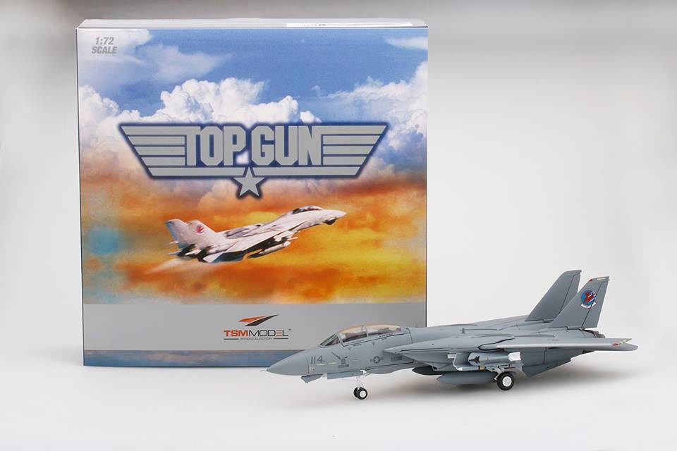 TSMWTP001 True Scale Wings Collection Northrop Grumman F-14A VF-1 #114 Top Gun Movie Maverick and Goose
